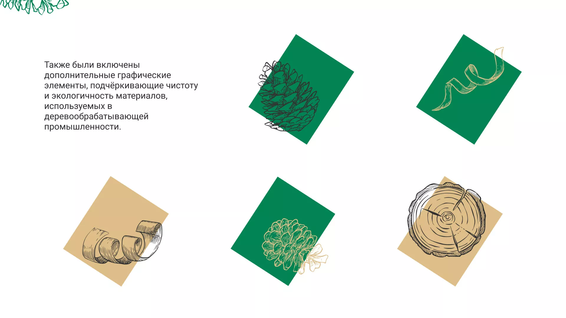 Разработка айдентики и сайта компании «Plastwood» в Ельце