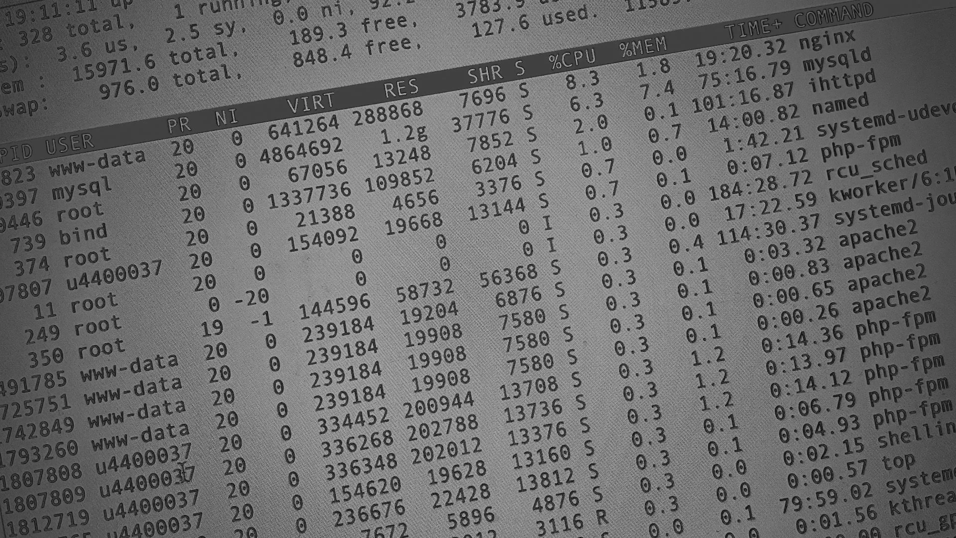 Настройка сервера в Ельце