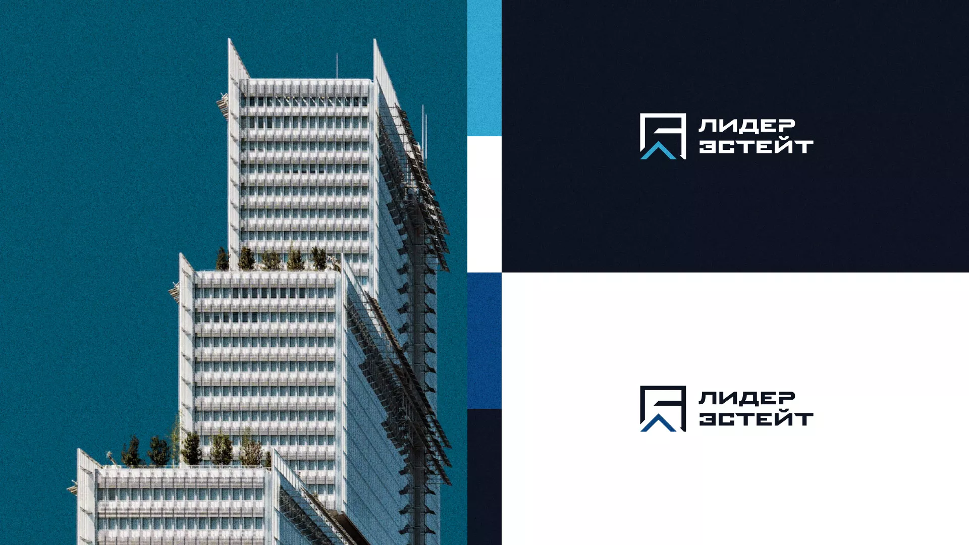 Разработка логотипа агентства недвижимости «Лидер Эстейт» в Ельце